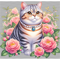 Animal Integration-DW 1918